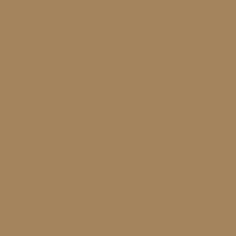 Light brown colour sample.